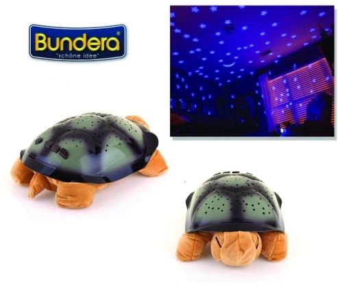Tavana Işık Yansıtan Kaplumbağa